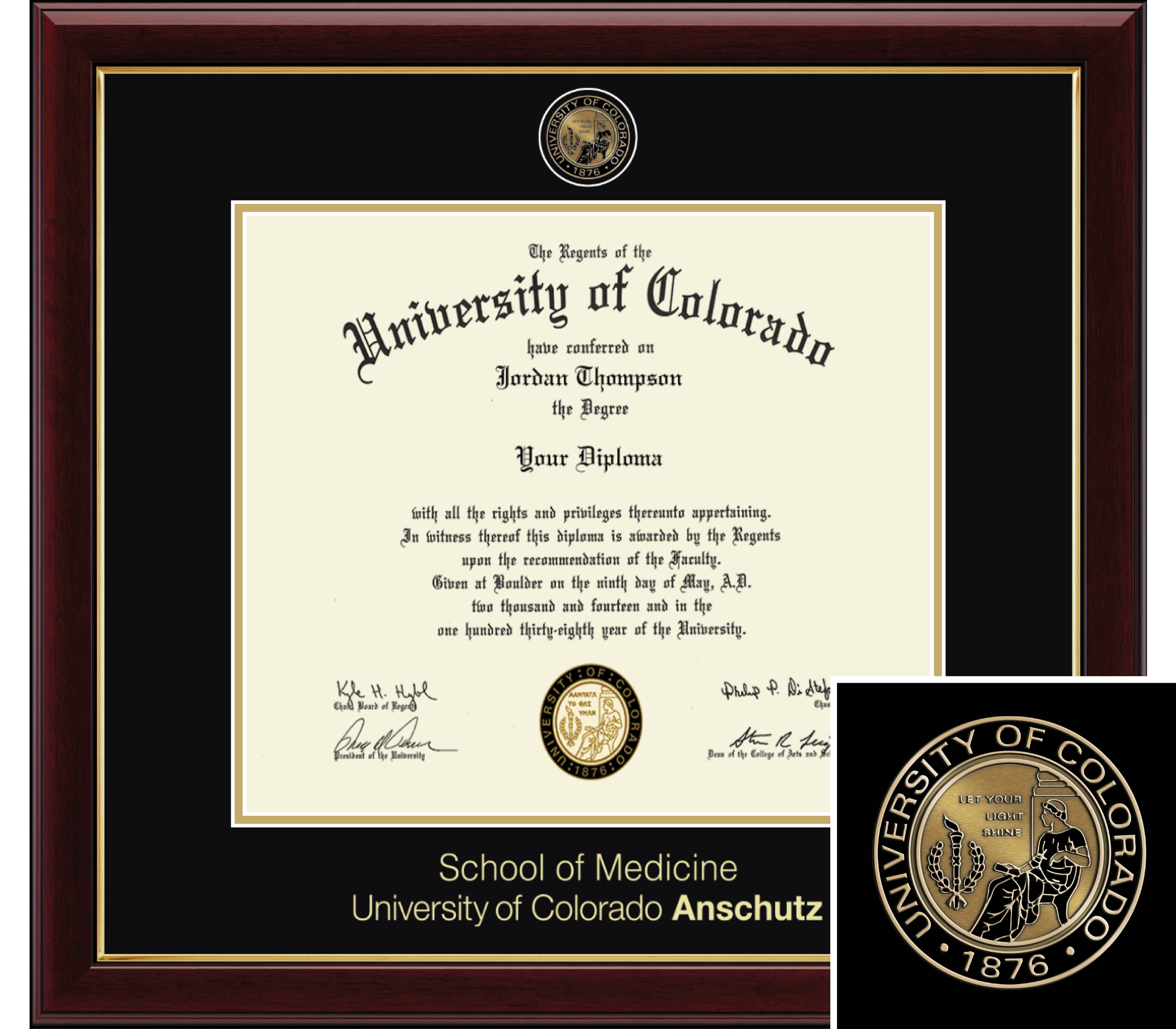 Church Hill Classics Masterpiece Medicine Diploma Frame