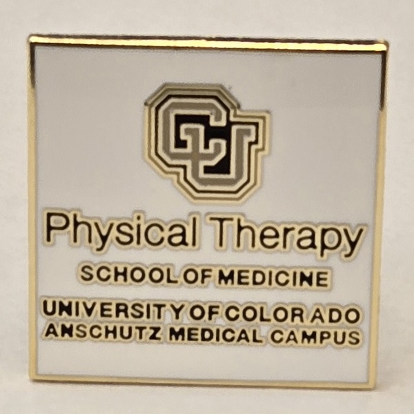 Physical Therapy Pin