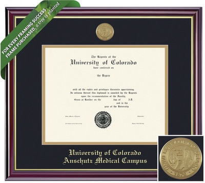 Framing Success 14 x 16 Windsor Gold Medallion Ph.D Diploma Frame