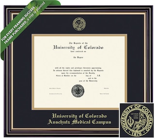Framing Success 8.5 x 11 Prestige Gold Embossed School Seal Bachelors, Masters Diploma Frame