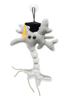 Graduation Brain Cell