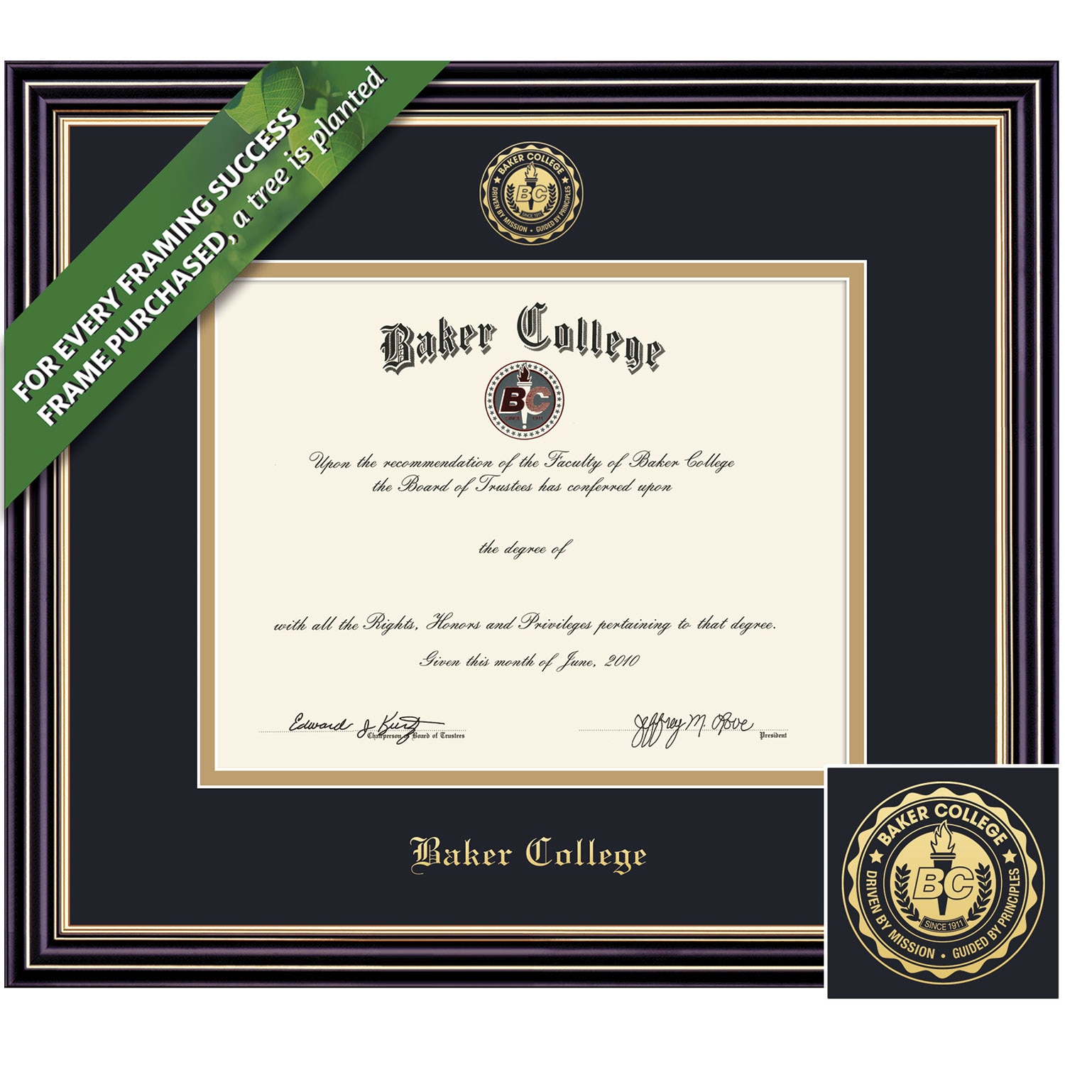 Framing Success 8.5 x 11 Prestige Gold Embossed School Seal Bachelors Diploma Frame