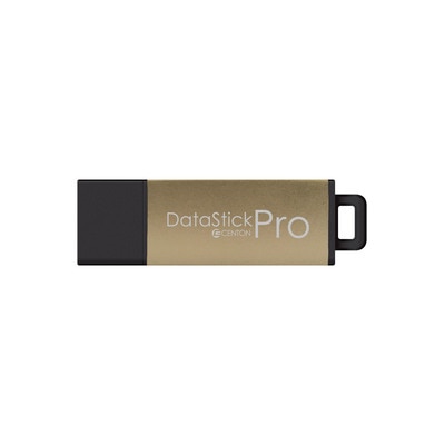 Centon USB 2.0 32GB Gold Metallic
