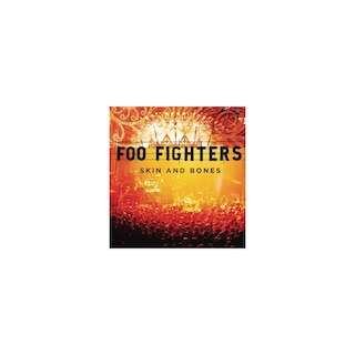 SKIN AND BONES -- FOO FIGHTERS