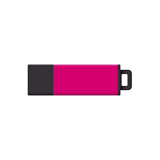 USB 2.0 Datastick Pro2