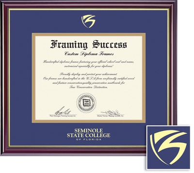 Framing Success 8.5 x 11 Windsor Gold Embossed School Seal Associates, Bachelors, Masters Diploma Frame