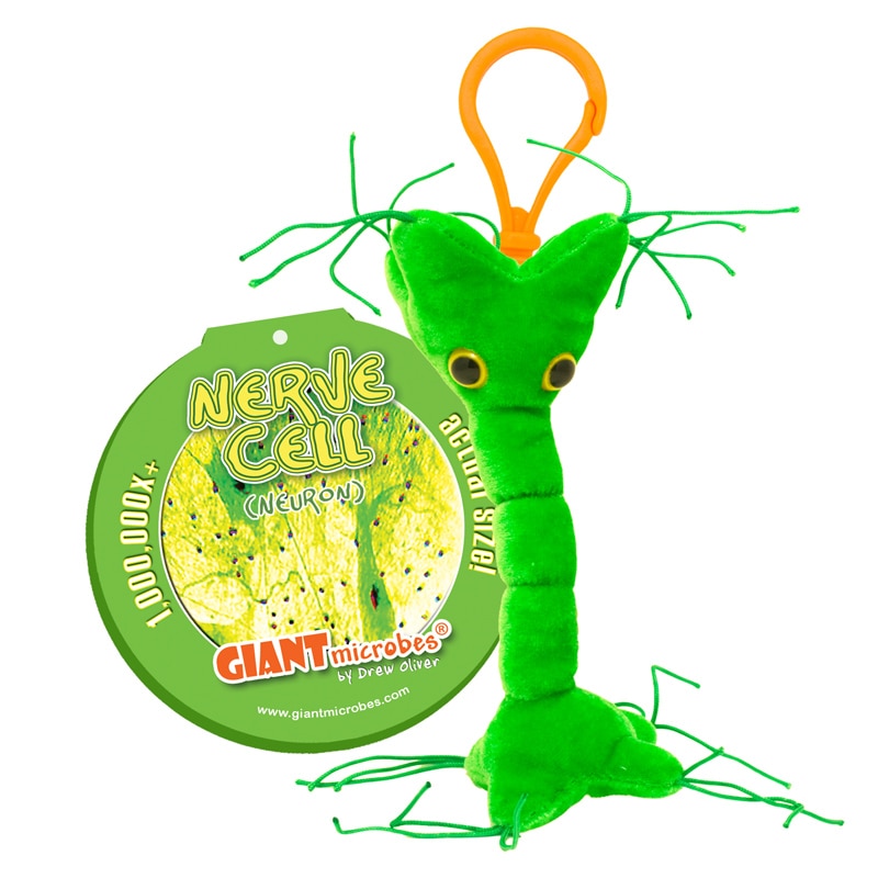 Nerve Cell Keychain