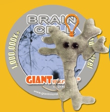 Keychain - Brain Cell