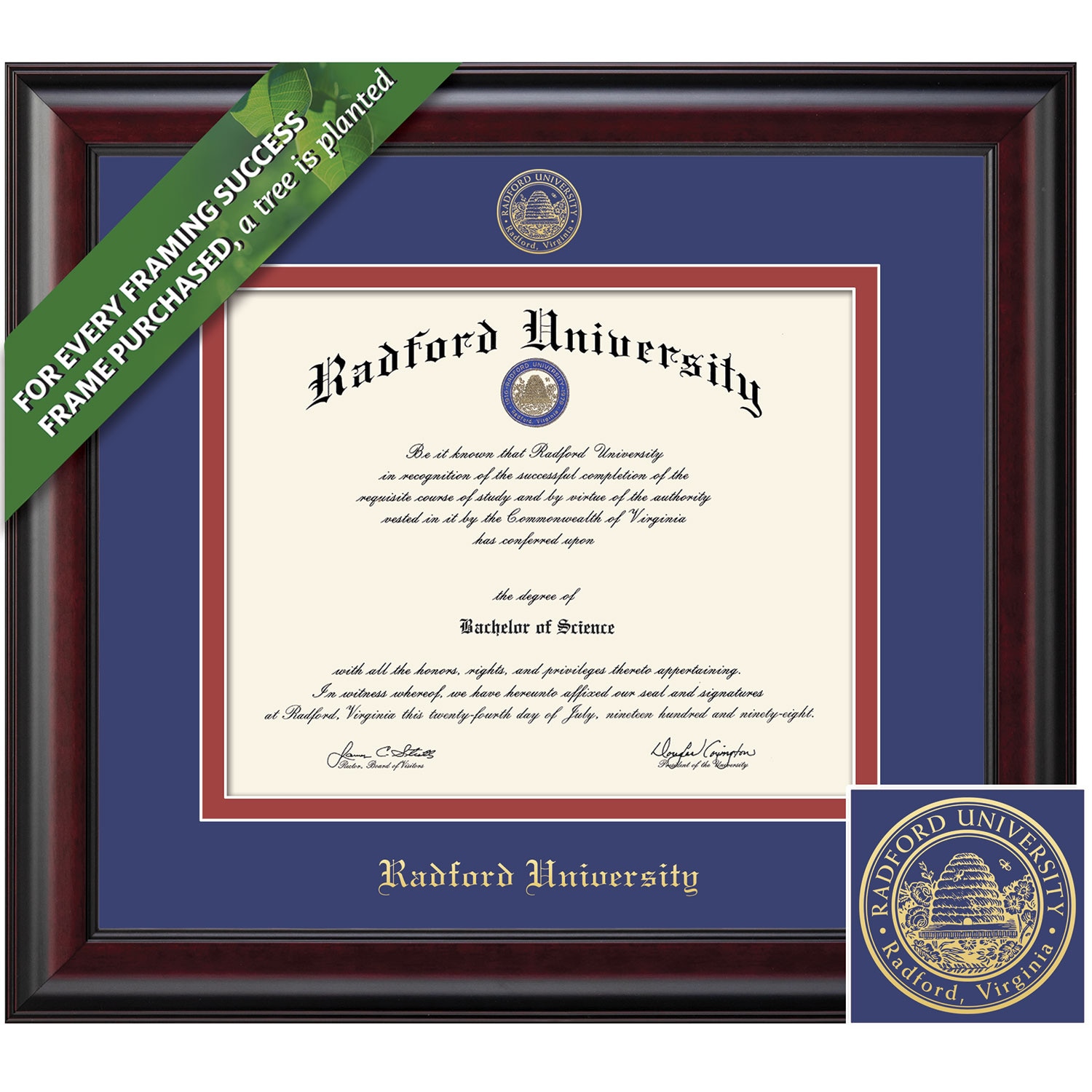 Framing Success 11 x 16 Classic Gold Embossed School Seal Bachelors, Masters, Doctorate Diploma Frame