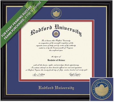Framing Success 11 x 16 Coronado Colored Medallion BA/MA/PhD Diploma Frame