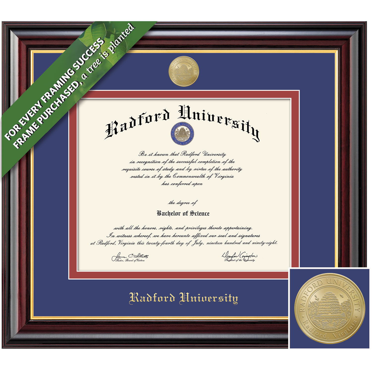 Framing Success 11 x 16 Windsor Gold Medallion Bachelors, Masters, Doctorate Diploma Frame