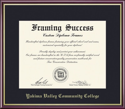 Framing Success 6 x 8 Academic Gold Embossed School Seal Associates Diploma Frame