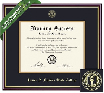 Framing Success 8.5 x 11 Academic Gold Embossed School Seal Bachelors, Masters Diploma Frame