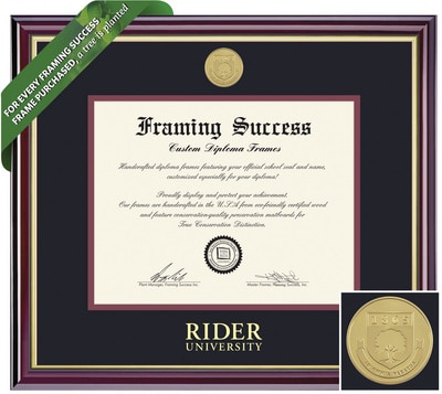 Framing Success 8.5 x 11 Windsor Gold Medallion Associates, Bachelors Diploma Frame