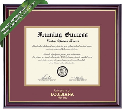 Framing Success 8.5 x 11  Windsor Gold Emb School Name Bachelors, Masters, PhD Diploma Frame