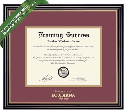Framing Success 8.5 x 11 Prestige Gold Emb School Name Bachelors, Masters, PhD Diploma Frame