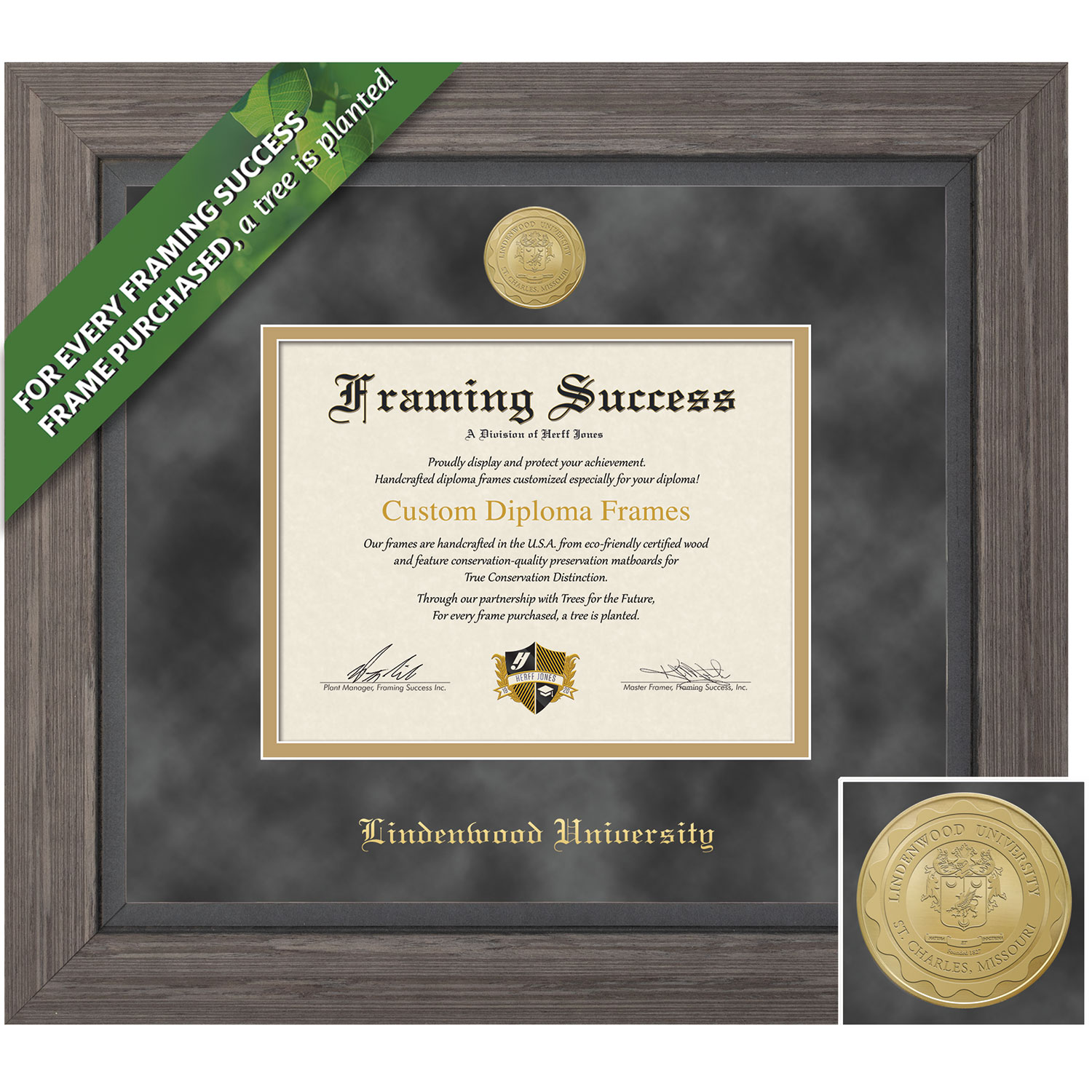 Framing Success 12 x 16 Greystone Gold Medallion PhD Diploma Frame