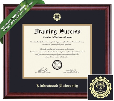 Framing Success 9 x 12 Classic Gold Embossed School Seal Masters Diploma Frame