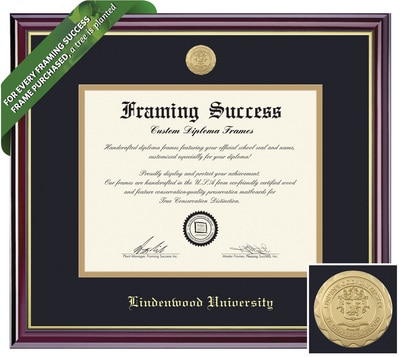 Framing Success 12 x 16 Windsor Gold Medallion PhD Diploma Frame