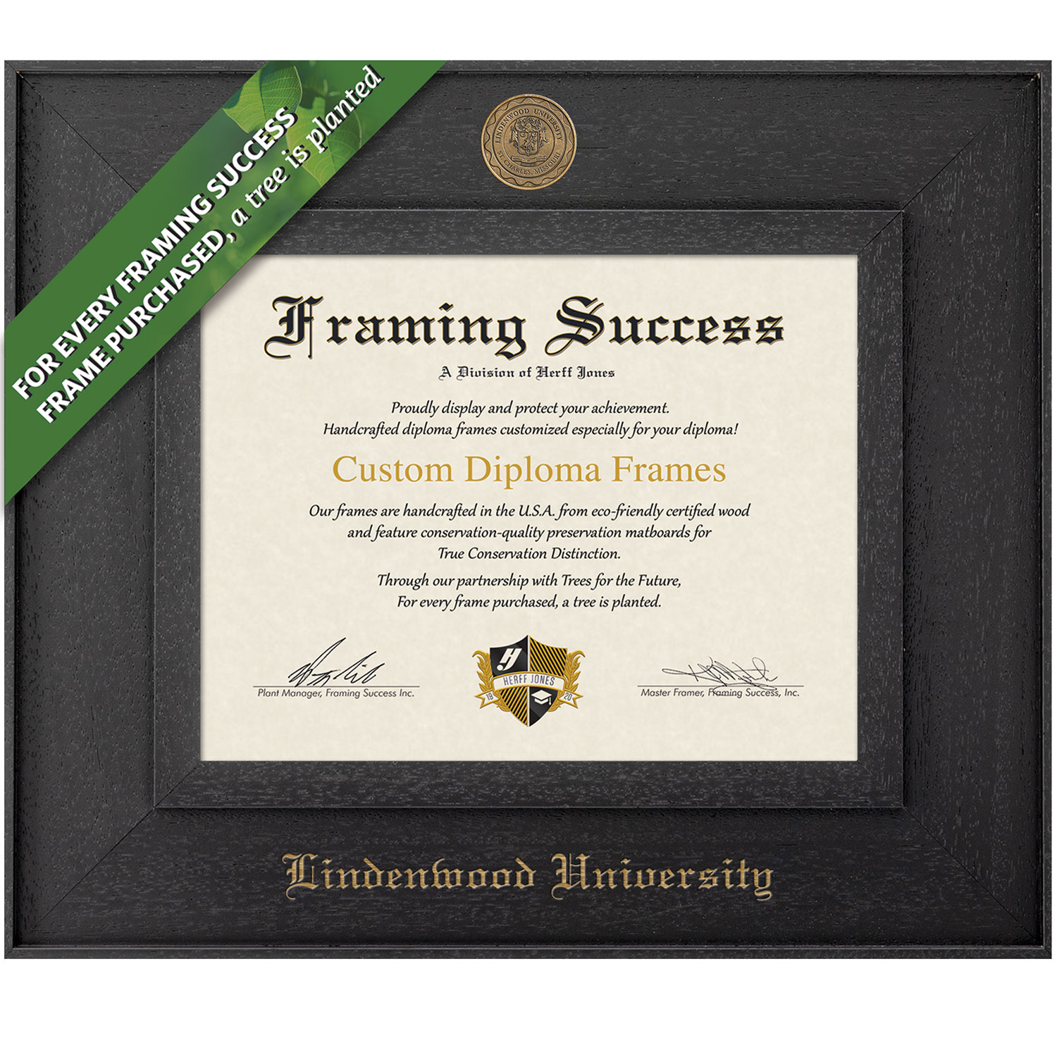 Framing Success 8.5 x 11 Cavalier Antiqued Medallion Bachelors, Masters, Specialist Diploma Frame