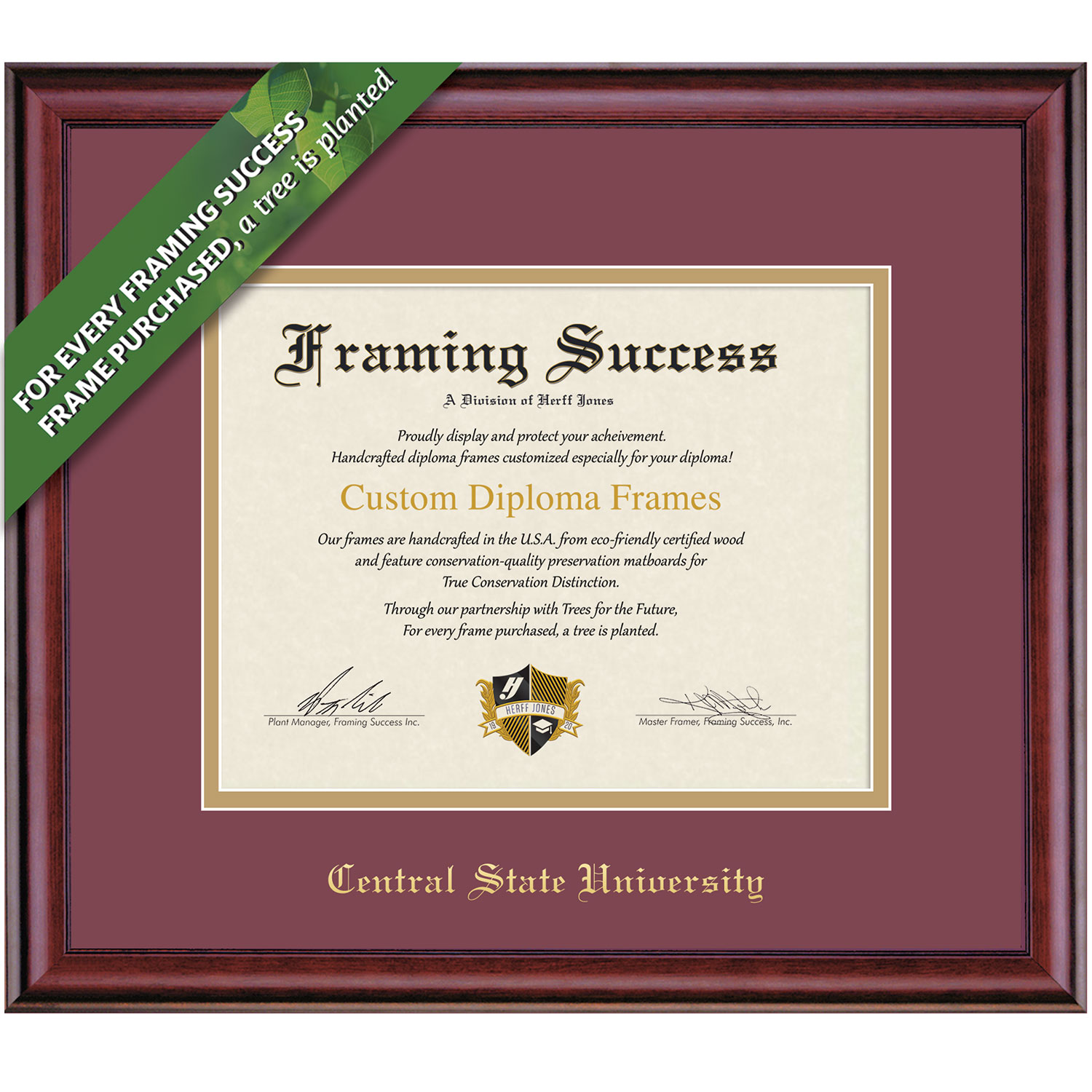 Framing Success 8 x 10 Classic Gold Embossed School Name Masters Diploma Frame
