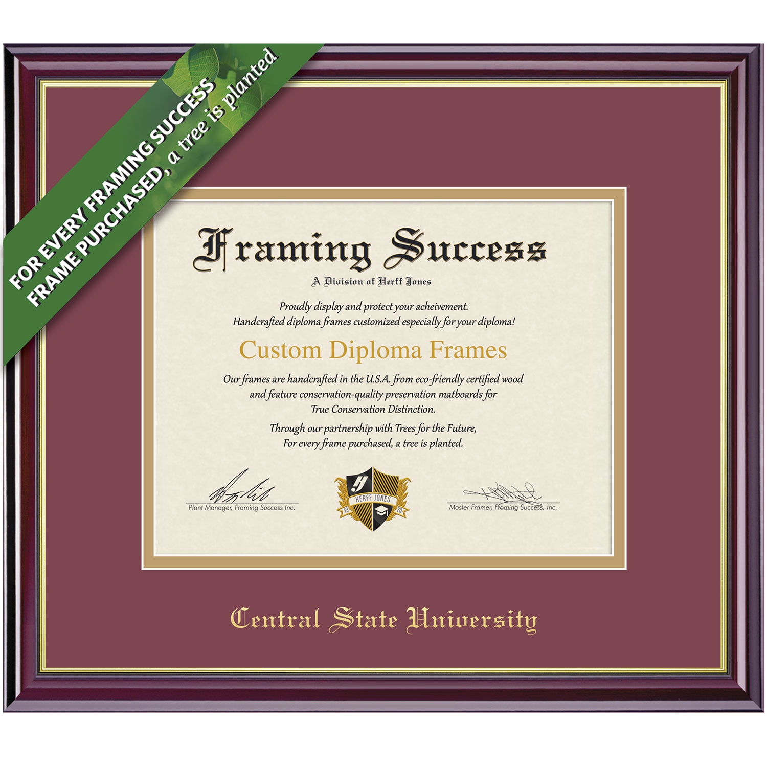 Framing Success 8 x 10 Windsor Gold Embossed School Name Masters Diploma Frame