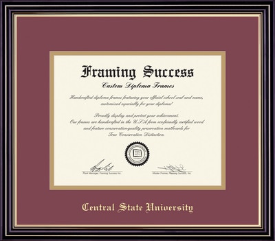 Framing Success 7 x 9 Prestige Gold Embossed School Seal Bachelors, Masters Diploma Frame