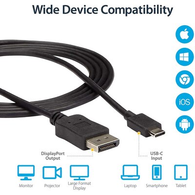 Startech 6ft USB C to DisplayPort Adptr