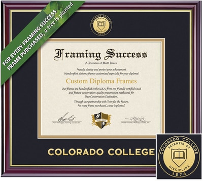 Framing Success 6 x 8 Windsor Gold Embossed School Seal Bachelors Diploma Frame