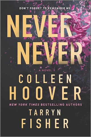Never Never: A Twisty  Angsty Romance