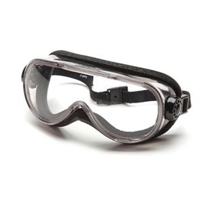 Clear Anti-Fog Goggle W/Pdng