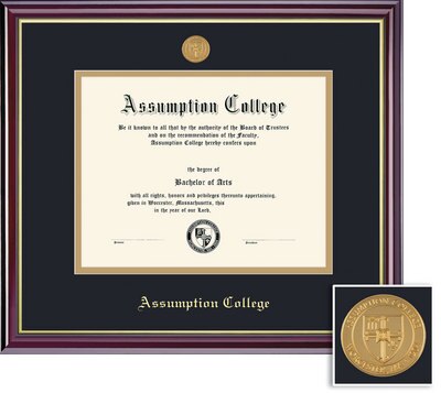Framing Success 11 x 14 Windsor Gold Emb School Seal Bachelors, Masters Diploma Frame