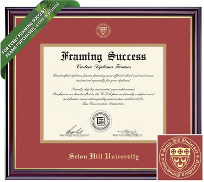 Framing Success 8 x 10 Windsor Gold Embossed School Seal Bachelors, Masters Diploma Frame
