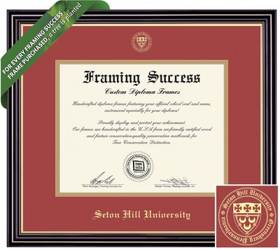 Framing Success 8 x 10 Prestige Gold Embossed School Seal Bachelors, Masters Diploma Frame