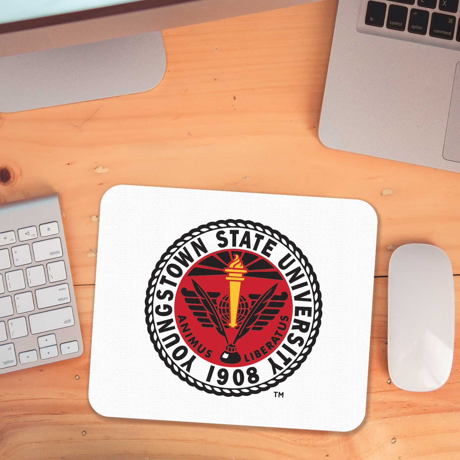 Colormax Mouse Pad