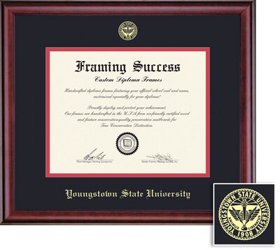 Framing Success 11 x 14 Classic Gold Embossed School Seal PhD Diploma Frame