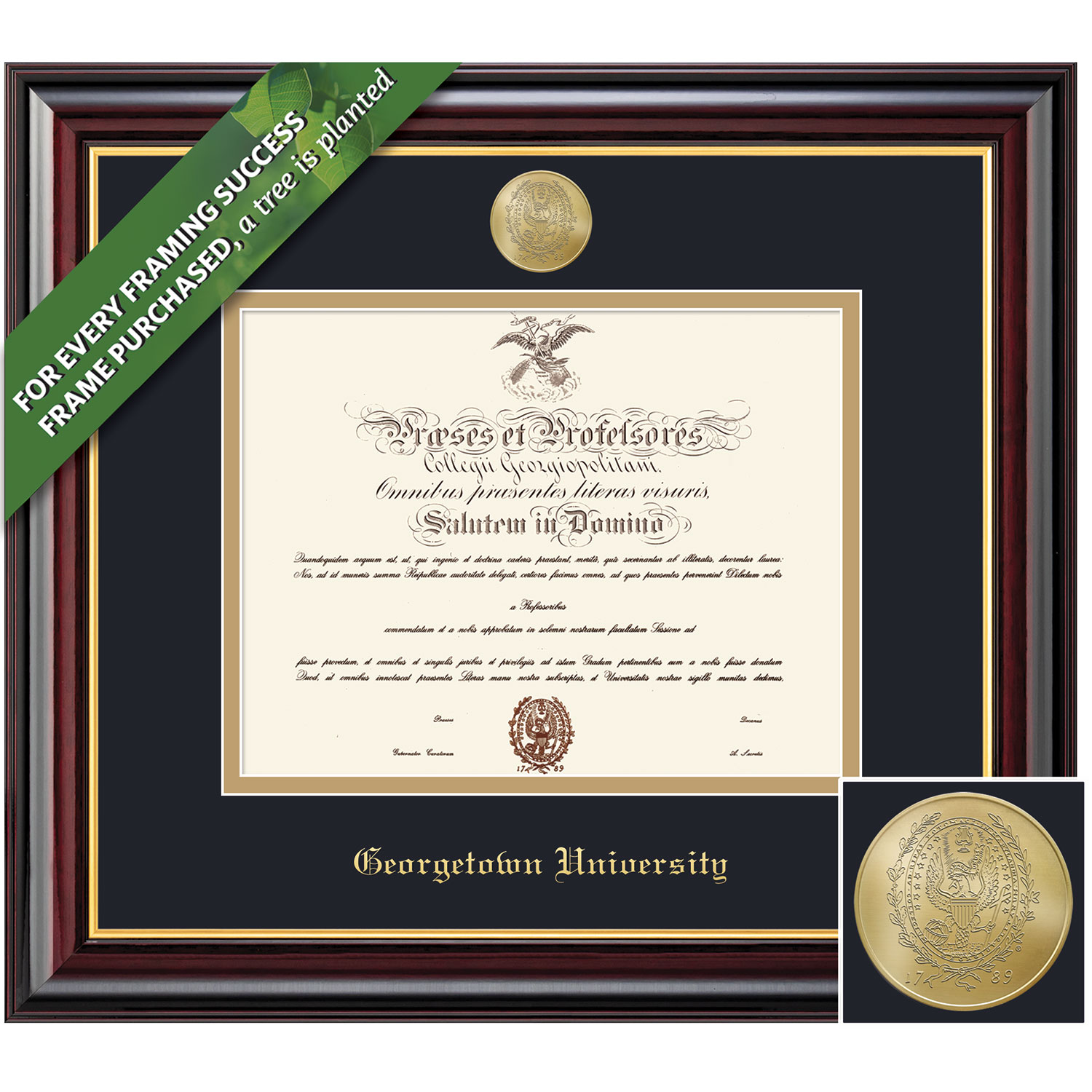 Framing Success 14 x 17 Windsor Gold Medallion Bachelors, Masters Diploma Frame