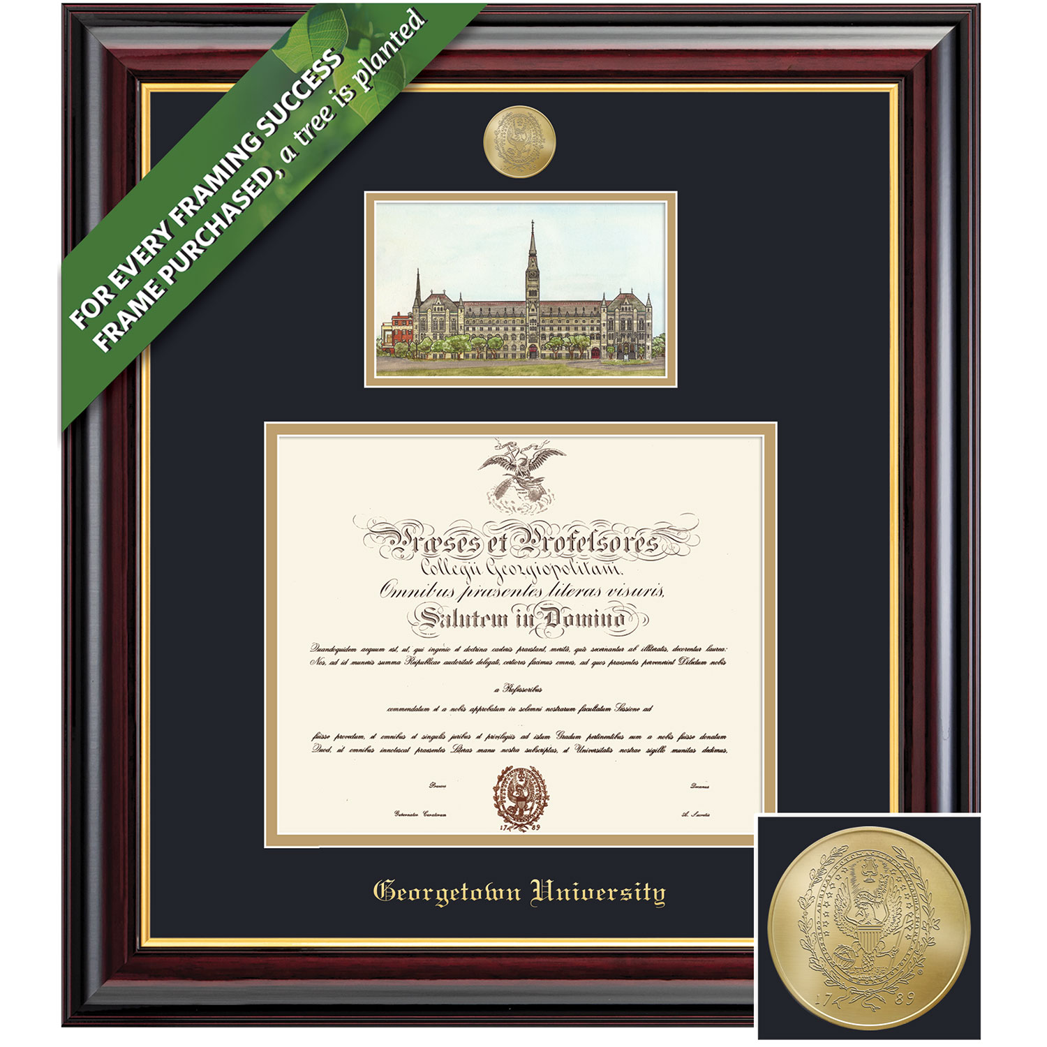 Framing Success 14 x 17 Windsor Gold Medallion Bachelors, Masters Diploma/Litho Frame