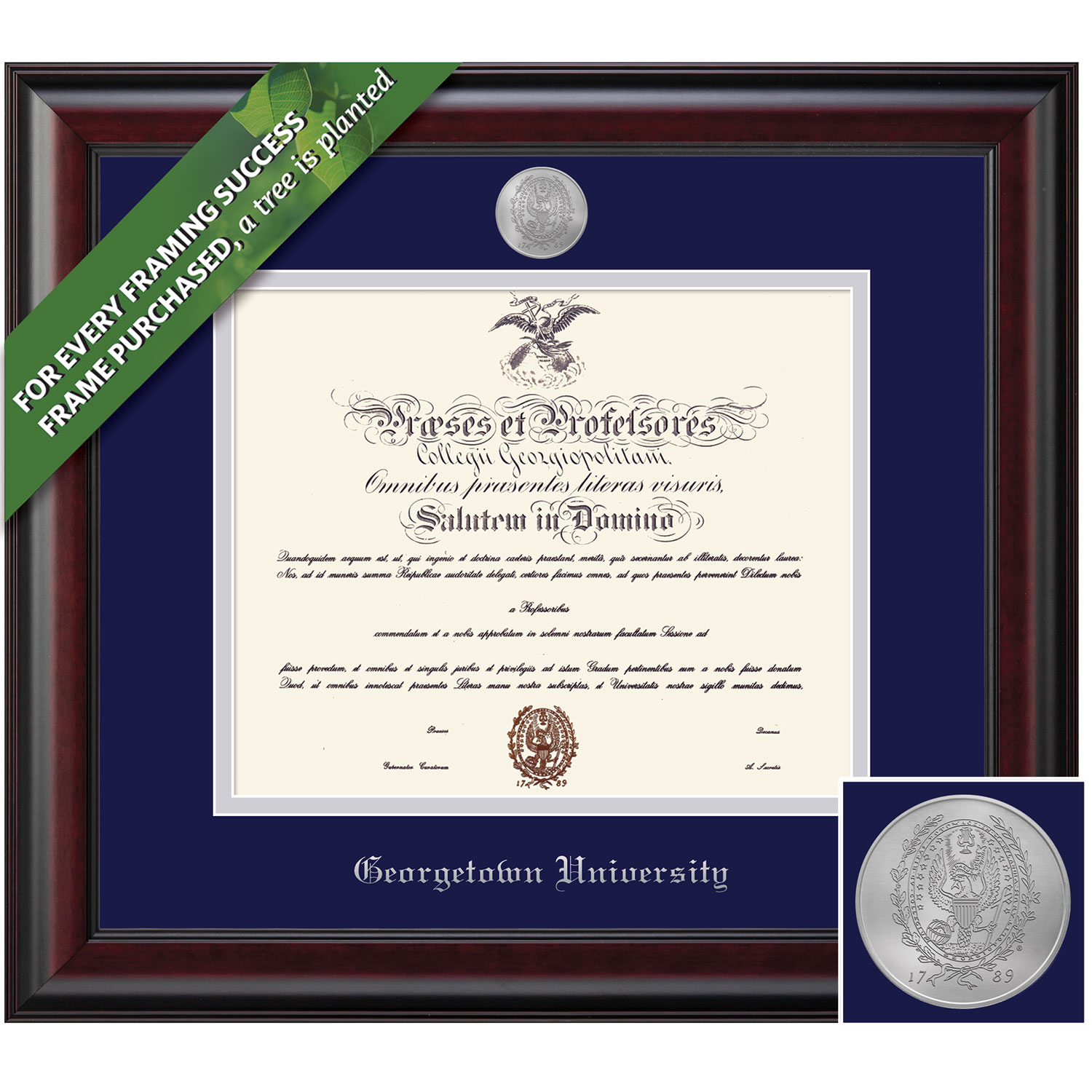 Framing Success 14 x 17 Classic Silver Medallion Bachelors, Masters Diploma Frame