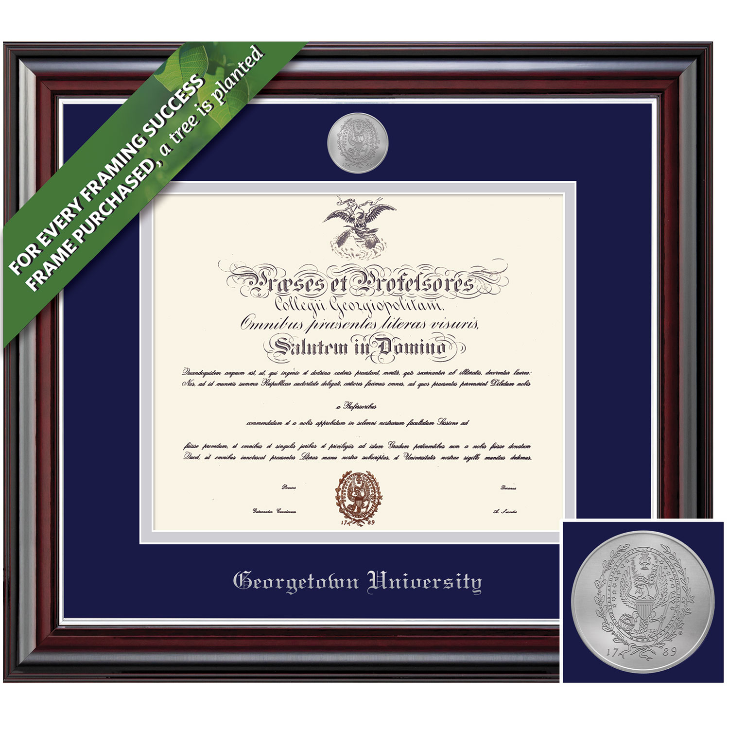 Framing Success 14 x 17 Jefferson Silver Medallion Bachelors, Masters Diploma Frame
