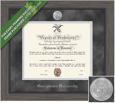 Framing Success 14 x 17 Greystone Silver Medallion Bachelors, Masters Diploma Frame