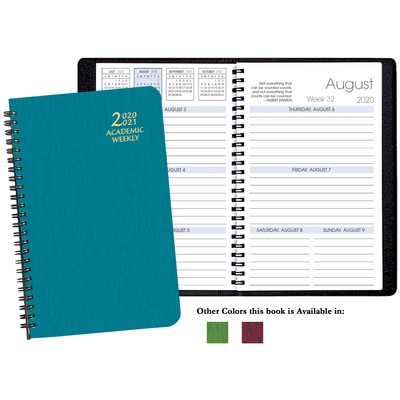 Payne 20-21 Weekly Appointment Planner 8"x5"