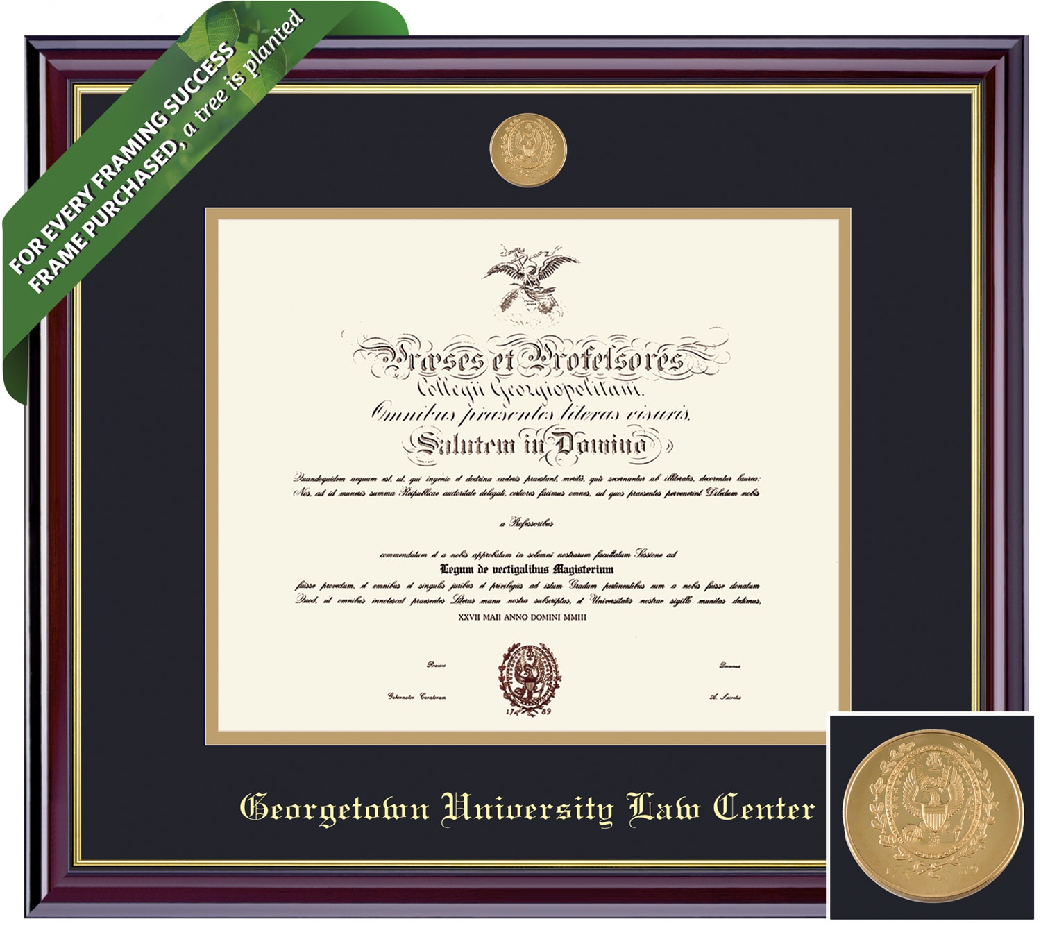 Framing Success 14 x 17 Windsor Gold Medallion School Of Law Diploma Frame