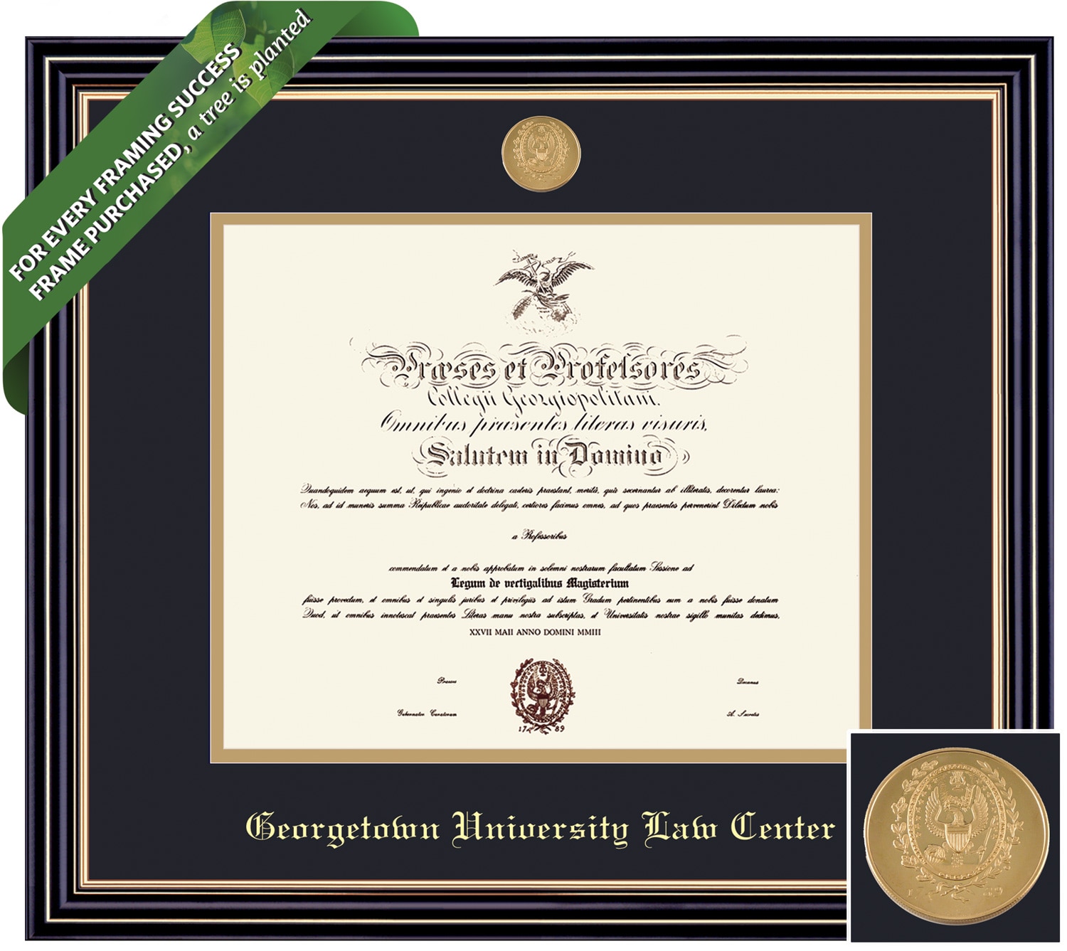 Framing Success 14 x 17 Prestige Gold Medallion School Of Law Diploma Frame