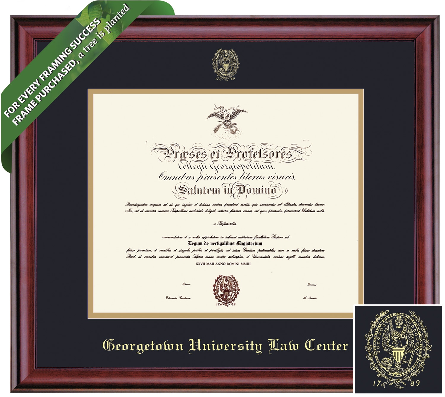 Framing Success 14 x 17 Classic Gold Embossed School Seal School Of Law Diploma Frame