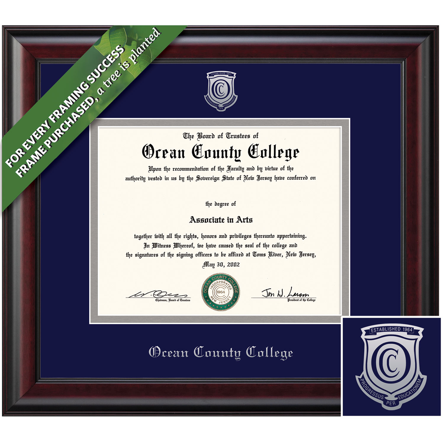 Framing Success 8 x 10 Classic Silver Embossed School Seal Associates Diploma Frame