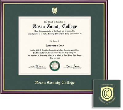 Framing Success 8 x 10 Academic Gold Embossed School Seal Bachelors, Masters Diploma Frame