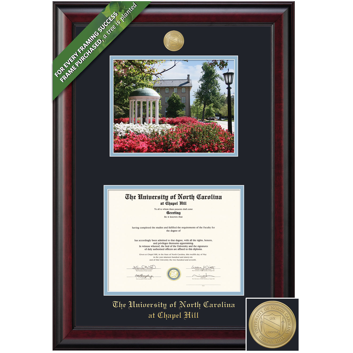 Framing Success 11.5 x 14 Classic Gold Medallion Bachelors, Masters, PhD Diploma/Photo Frame