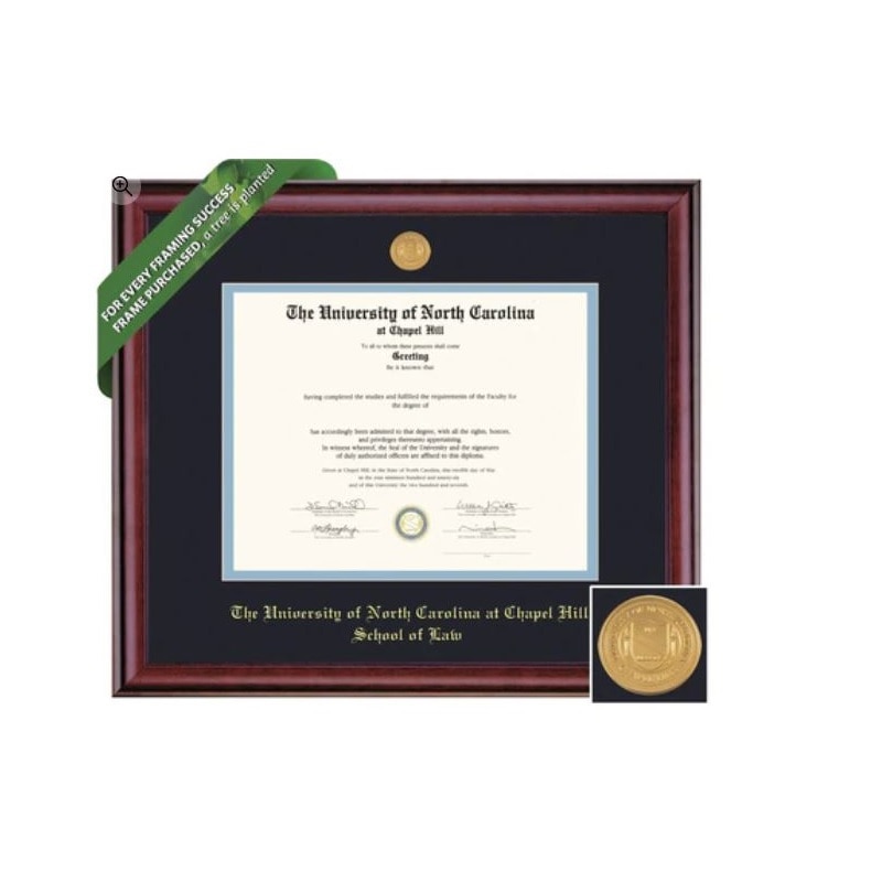 Framing Success 11.5 x 14 Classic Gold Medallion Law Diploma Frame