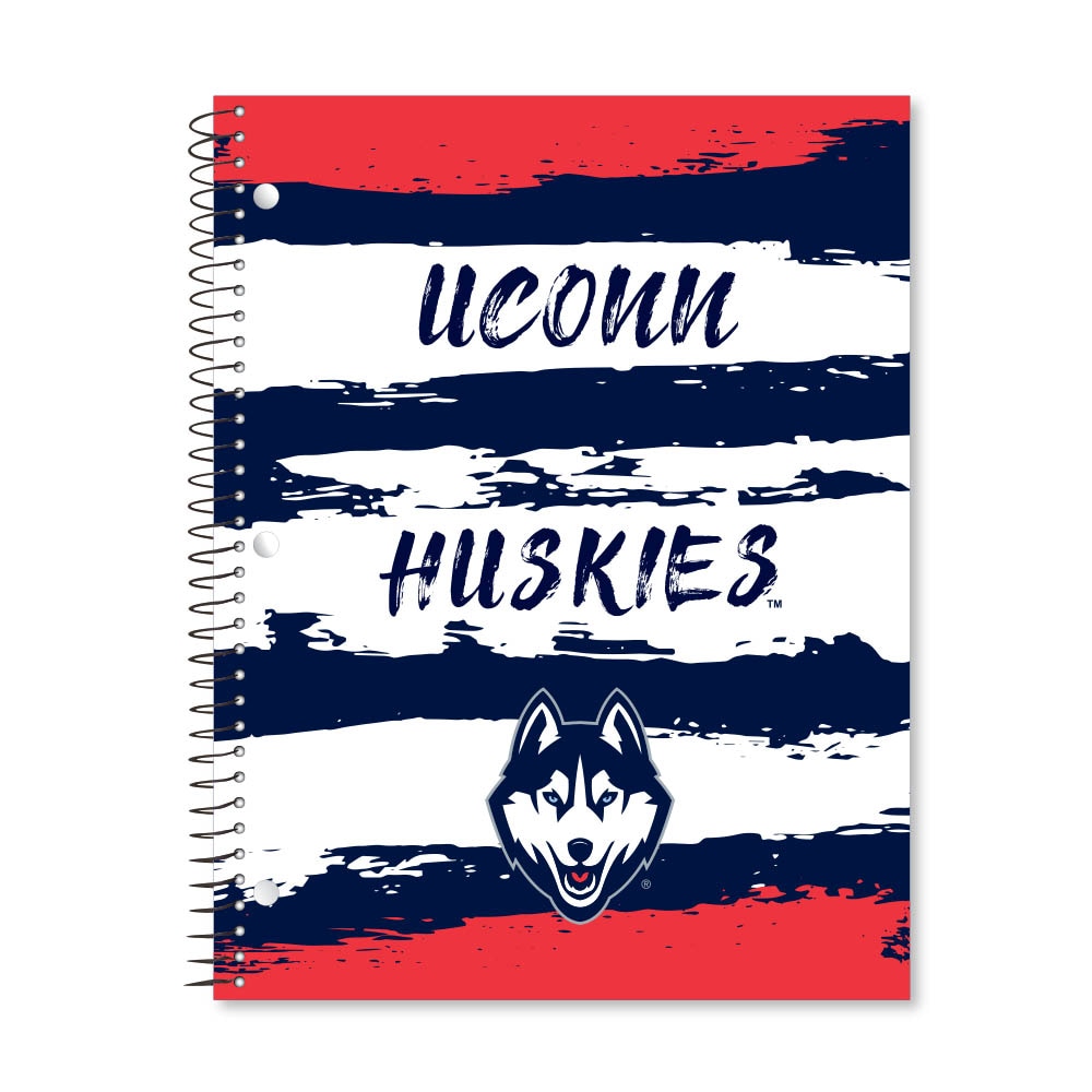 Digi Paint Strokes 1 Subject 11"x8.5" 70 Count College Ruled Spiral Notebook